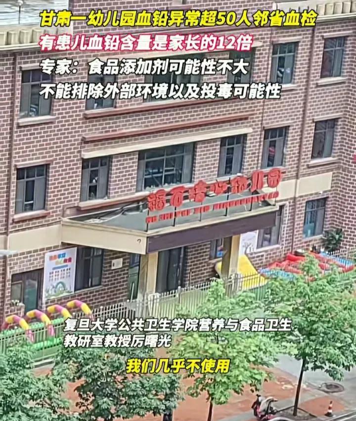 复旦大学的教授说的很直接，幼儿园铅含量超标这事，很可能不是食品添加剂的原因。如
