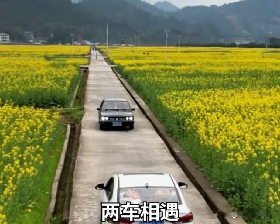 安徽省农村的发展，老百姓最切身的感受就是，农村的公路在扩宽了，路也好走了最近这