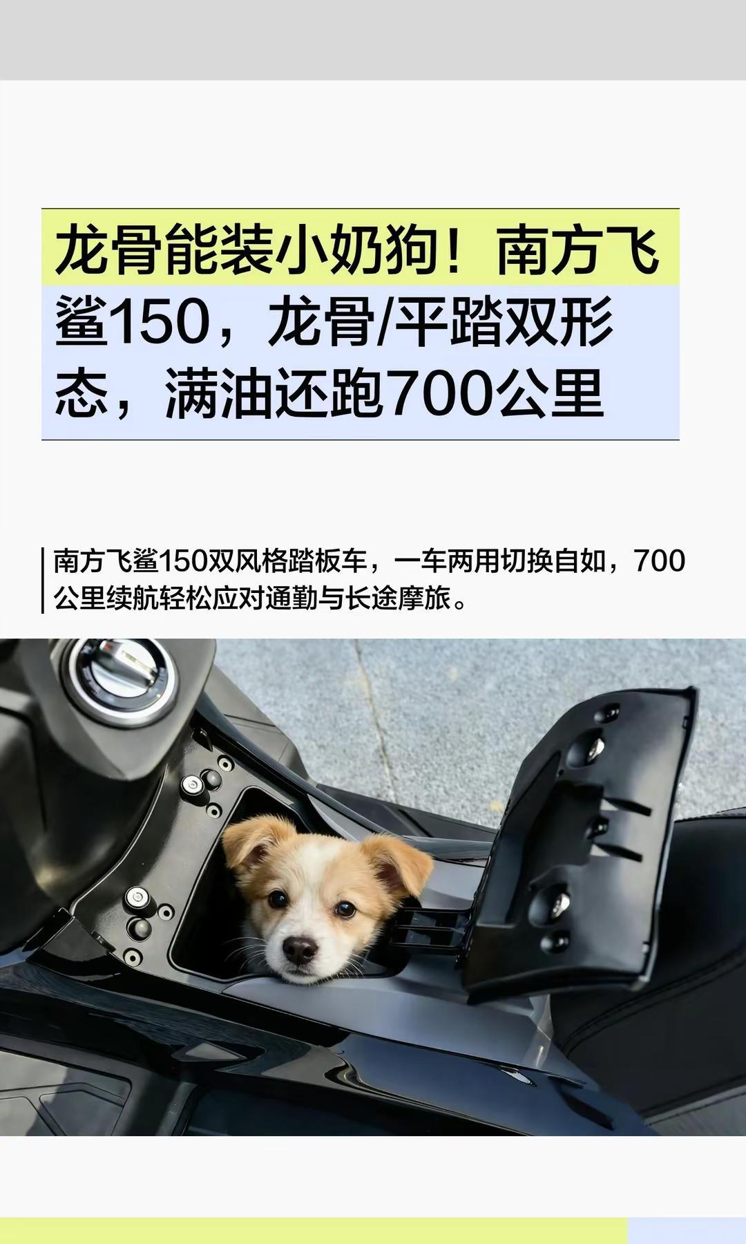 龙骨能装狗！南方飞鲨150，续航700。龙骨能装小奶狗！南方飞鲨150，龙骨/平