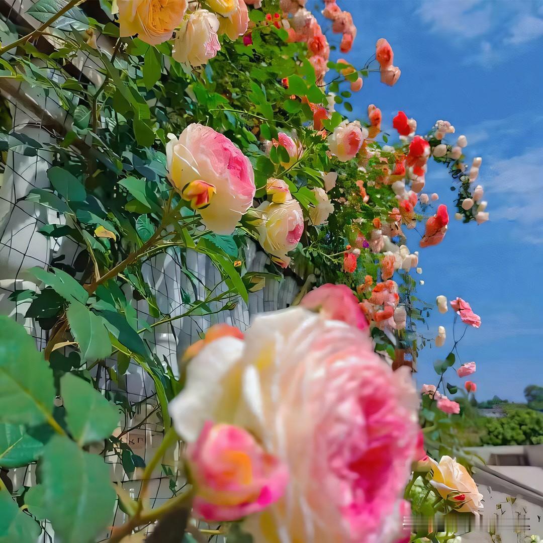 男人对你是玩玩还是真爱你，其实区别挺明显的：1.玩你的人：大半夜找你煲电话