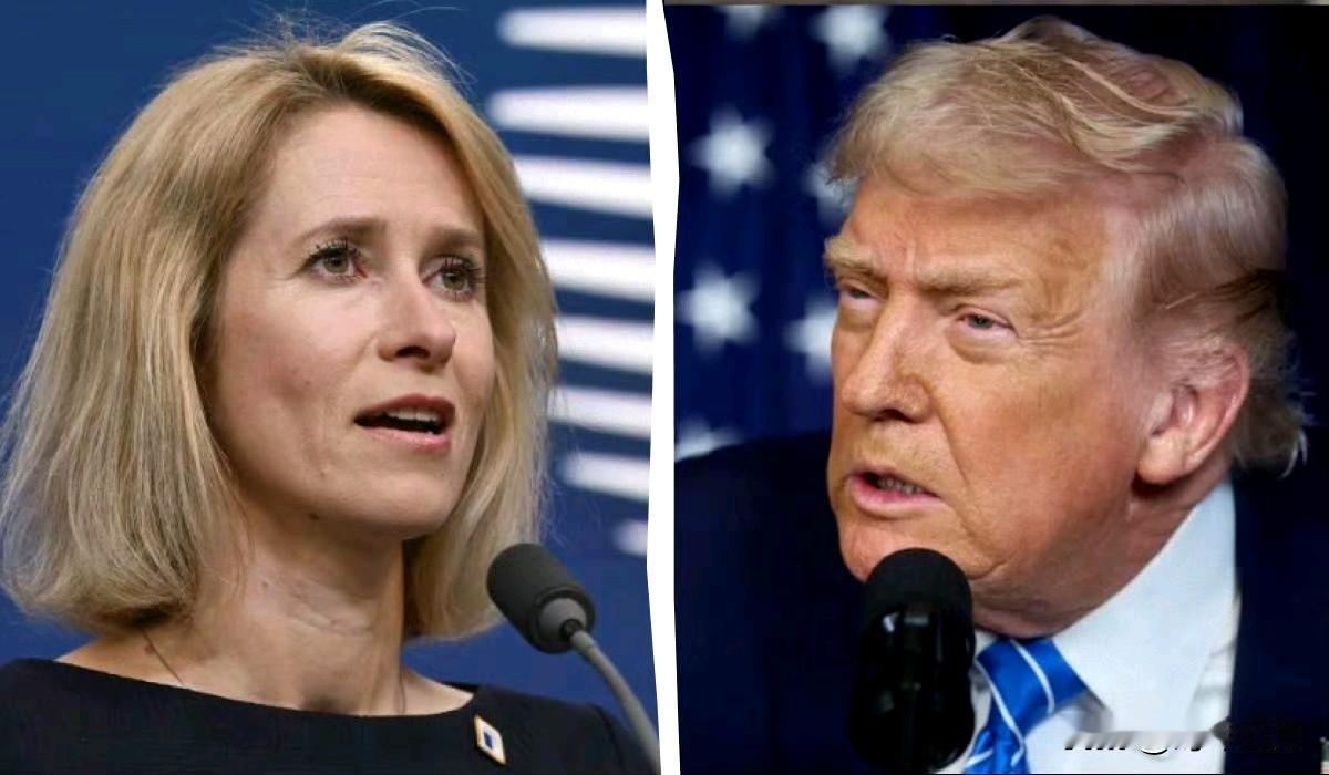 卡拉斯对特朗普关于格陵兰岛的最后通牒作出回应这位外交官表示，如果格陵兰岛的安全