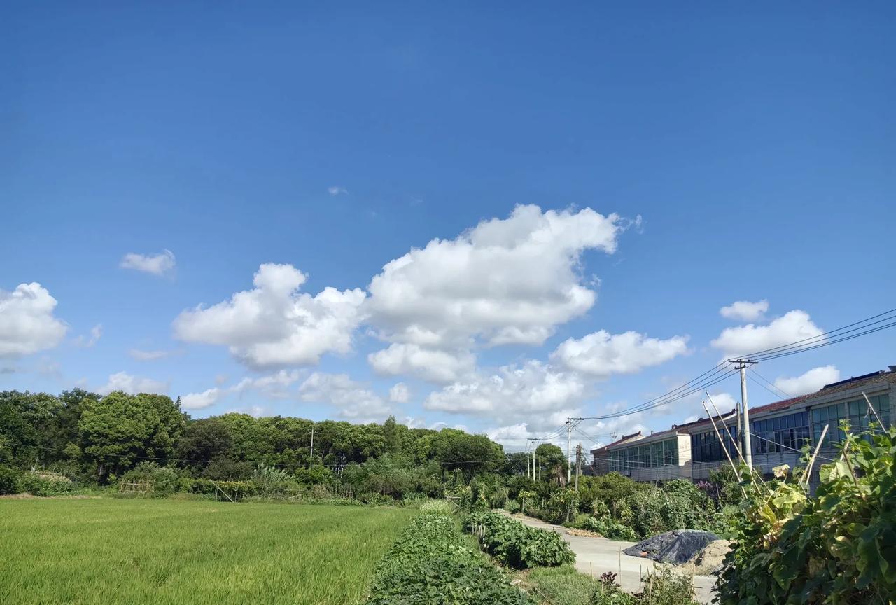 二伯母出院回家几天了，还是67岁的小儿子天天陪伴照顾她，说实话，有女儿也有媳妇在