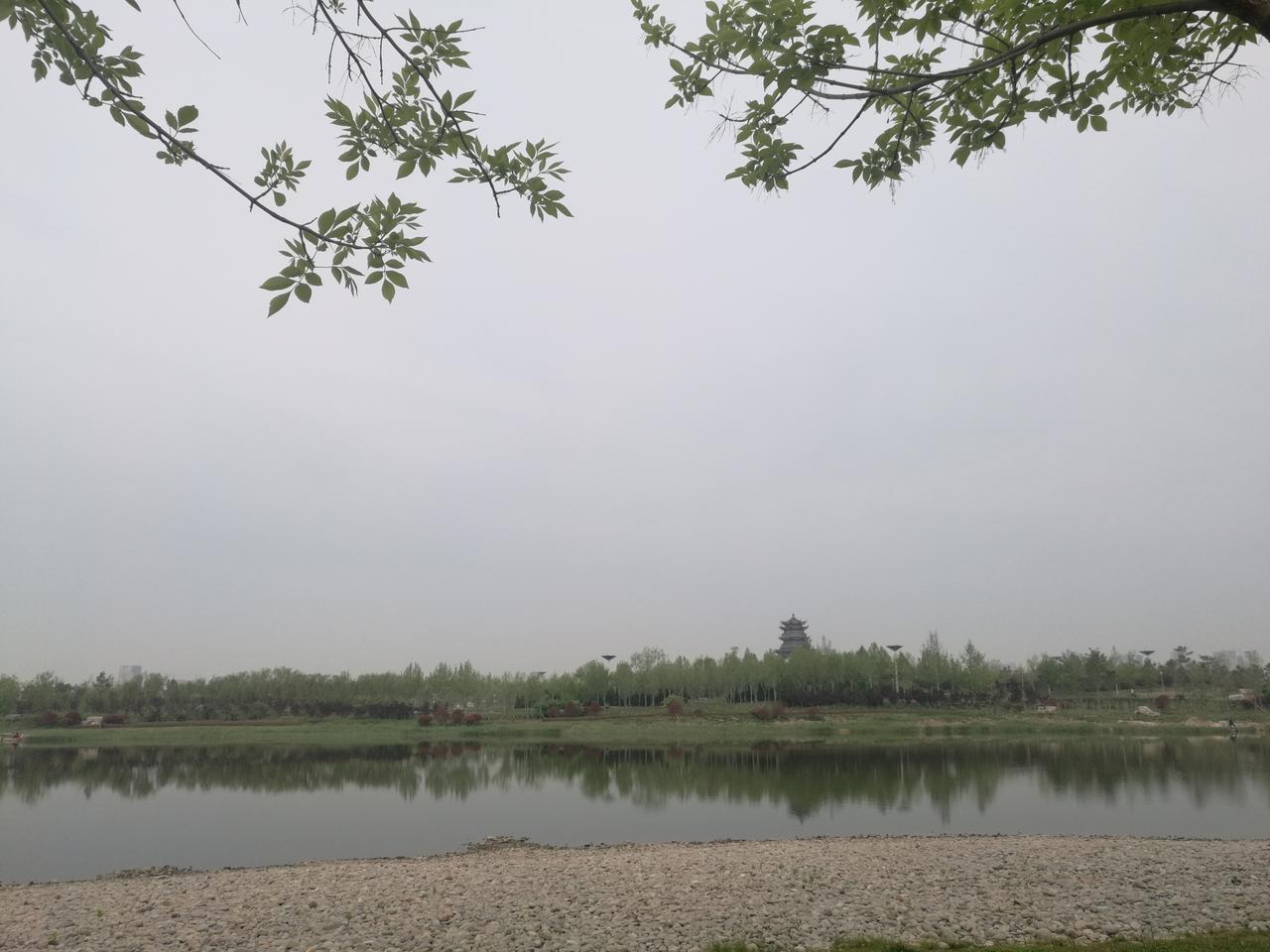 发一张图片，让我猜出你在哪里拍的远眺湖心岛上的清风阁。这里是山东最大的城市公园东