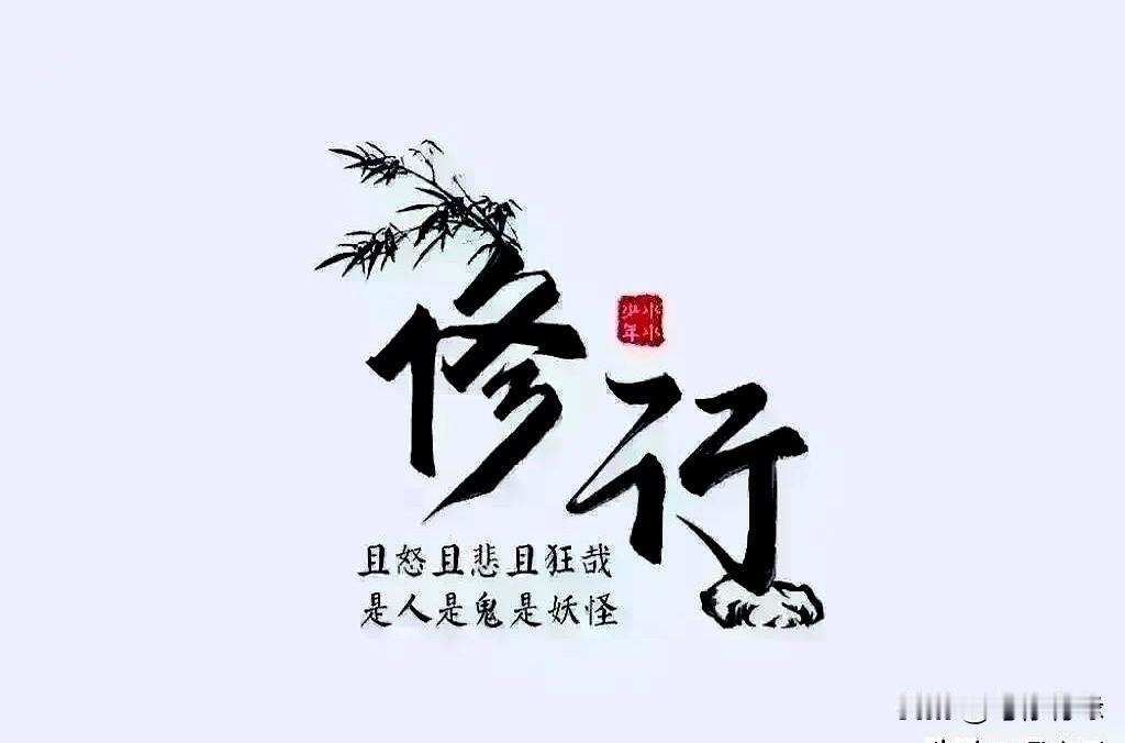 一大清早刷到这个消息，心里一下就热了。大连去支援沈阳了，真不是一句空话，平时看