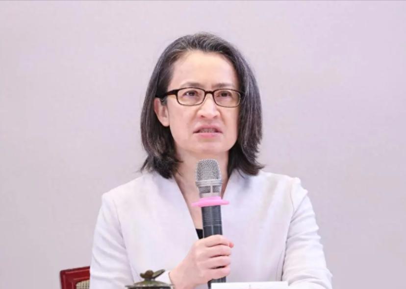 赖清德的副手、民进党当局人物萧美琴，此前于挪威接受媒体专访时称，台湾地区现行条文