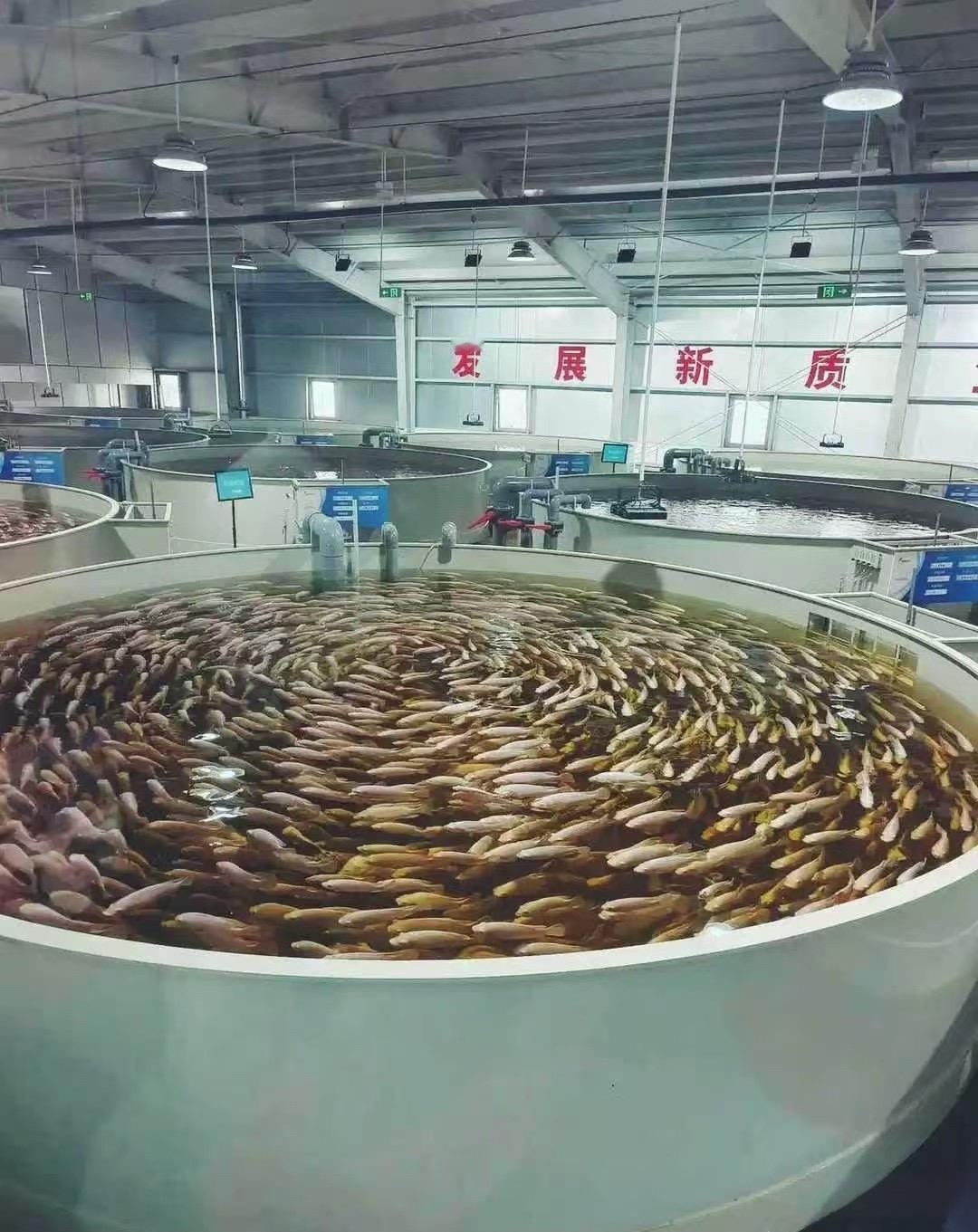 这是制作什么的