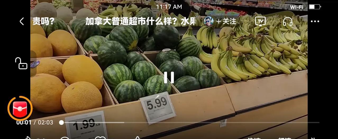 到加拿大住了三个月，我发现其实他们的生活，没有我们过得好，这里买西瓜20元