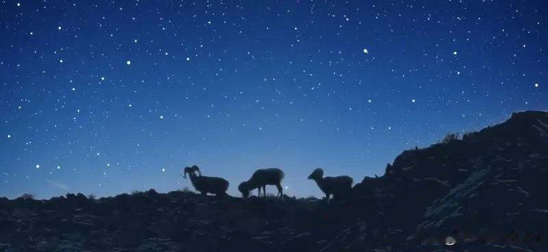 2026年，绝对是开挂的一年！这几个星座势不可挡。先说白羊座，他们身上那股冲劲