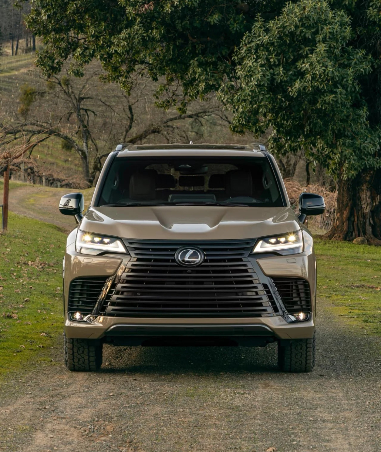 我不光喜欢雷克萨斯GX，也喜欢LX。这两款车不光是纺锤体前脸霸气，整个外观都很霸