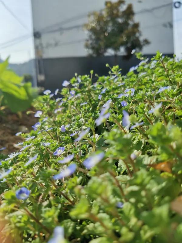 我真的快不想搭理我婆婆了！她60多岁退休金5000多，存款都过百万，我老公挣钱也