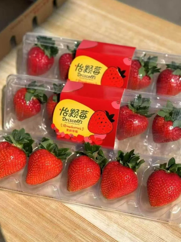 长期回购怡颗莓，看完官方声明更安心，国内独立产区从种植到出厂层层质检，品控完全合