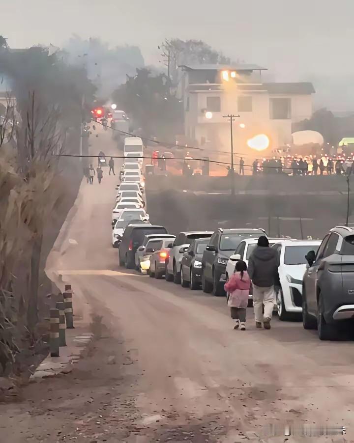 怕是谁也没看懂重庆合川呆呆的操作说好的只延长一天杀猪宴半点时间也没拖延一结