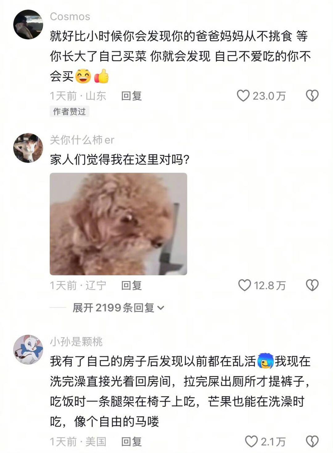 长大后发现家的规则由自己制定