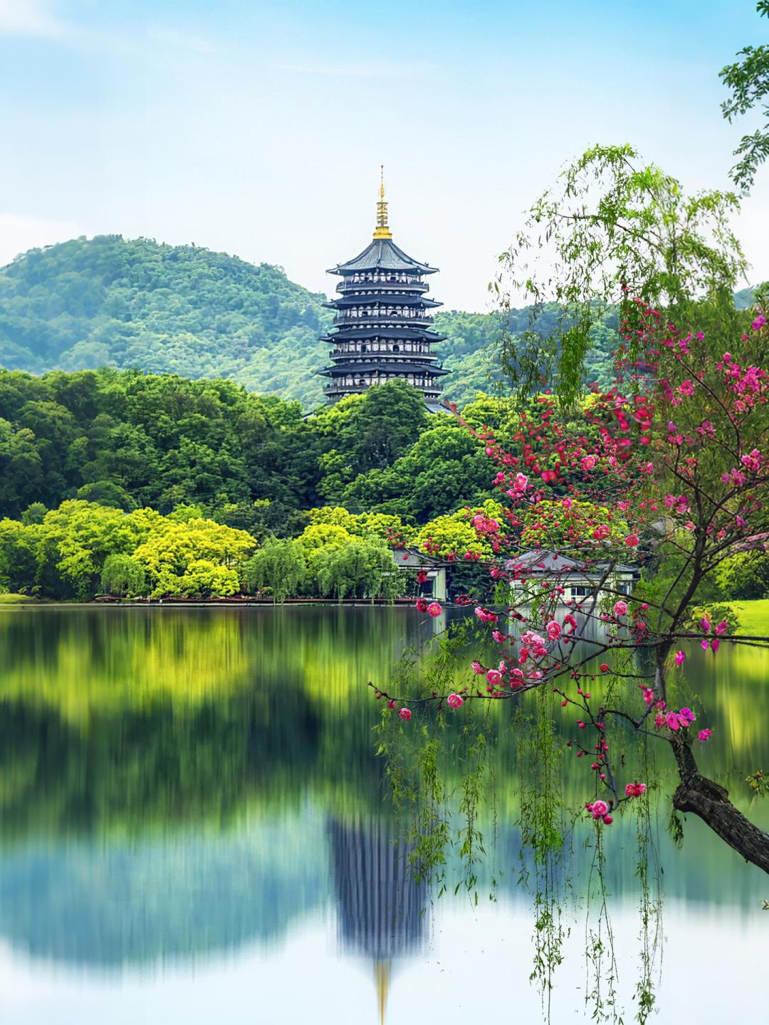 雷峰塔的四季，是西湖给世人的一场浪漫轮转。春看桃红柳绿映古塔，夏赏接天莲叶绕塔身