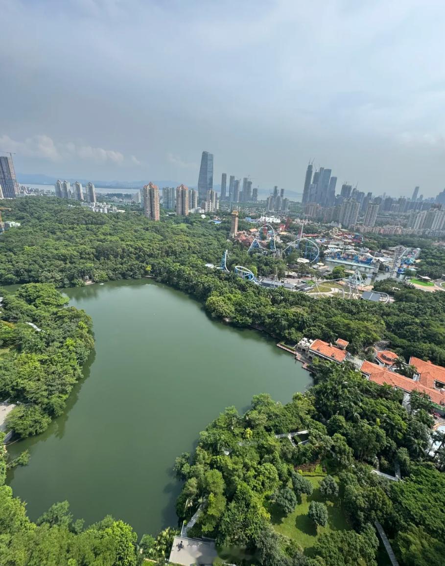 蛇口业主，珠宝设计师，准备挂盘半岛城邦三期和招商双玺时光道两套房。想置换南山一套