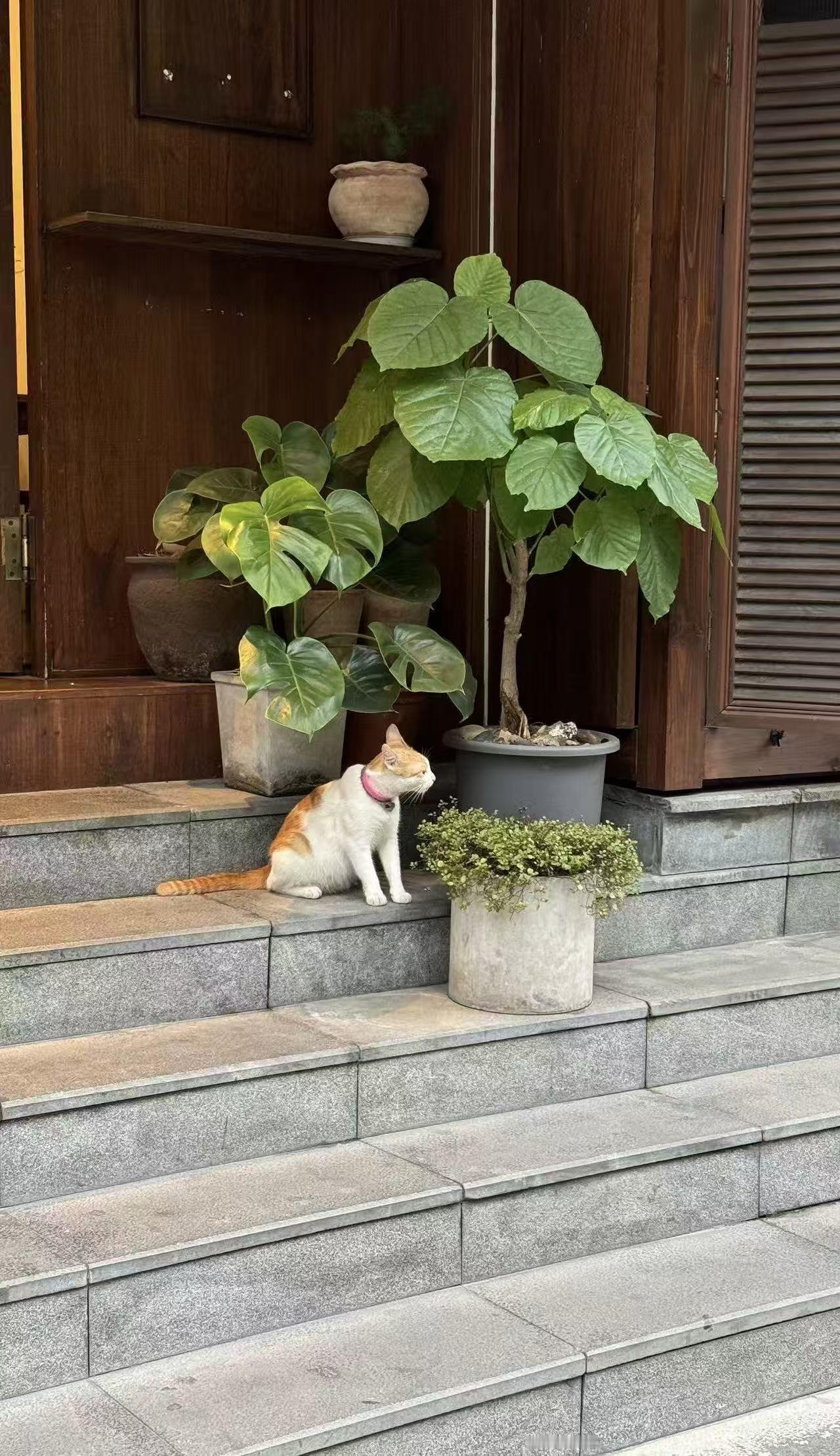 住了9年的公租房这月底要被收回,因为我与老公工资超了几百块,取消居住资格了。