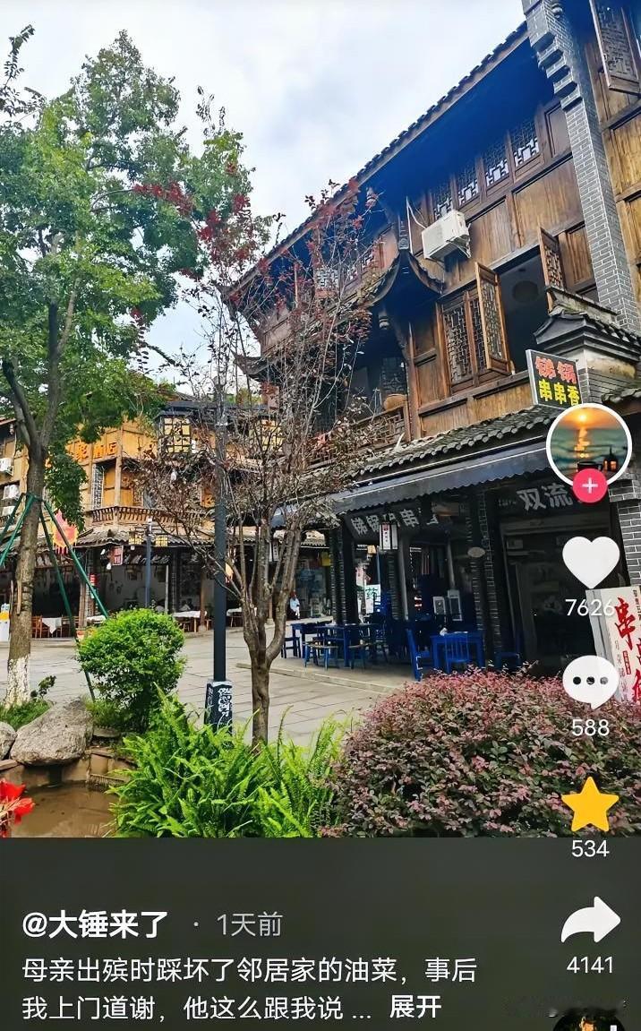9月22日，四川自贡，一名小伙子给母亲送殡，送葬队伍把老何家的油菜踩坏了。三天后