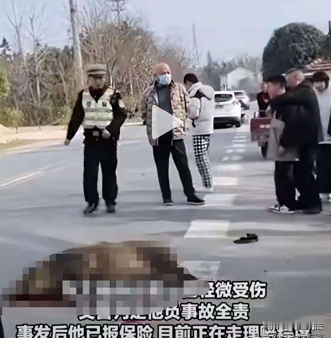 安徽合肥，一私家车在公路上与野猪相撞，野猪当场没气了，私家车也损坏严重，车主被判