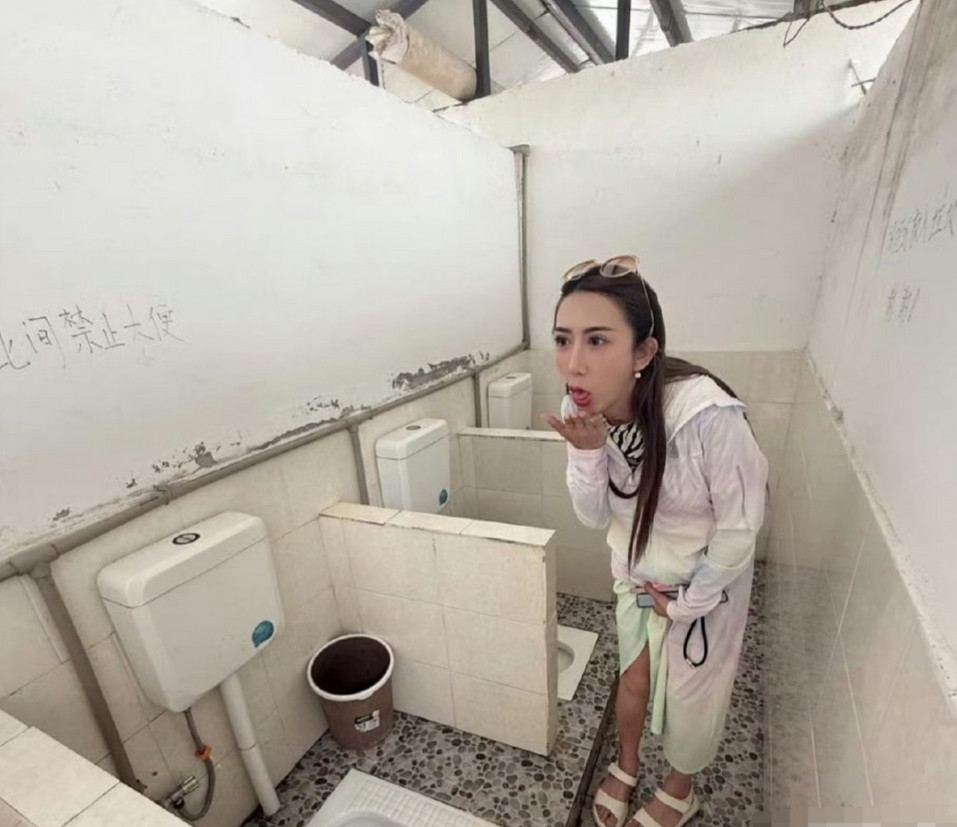 一位台湾网红在云南旅游时，发布一张在景点厕所拍的照片，并做出呕吐状，再次引发岛内
