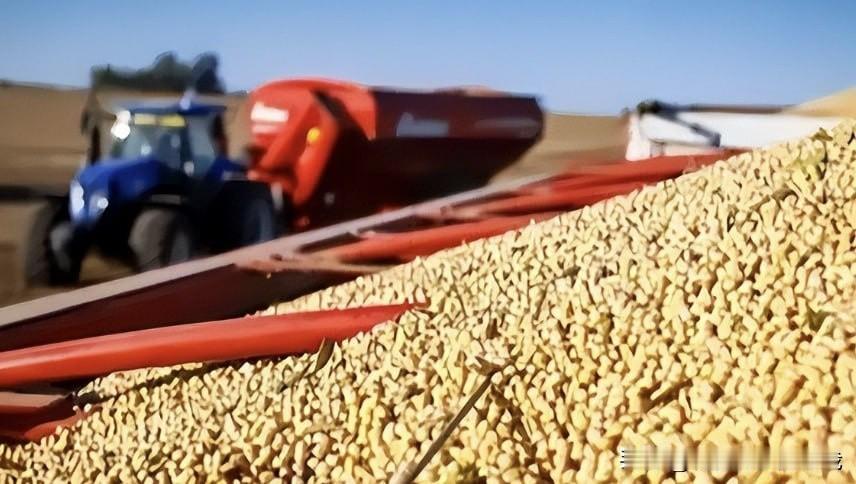 2025年10月底，中巴贸易圈炸了锅！中国企业果断暂停180万吨巴西大豆订单，巴