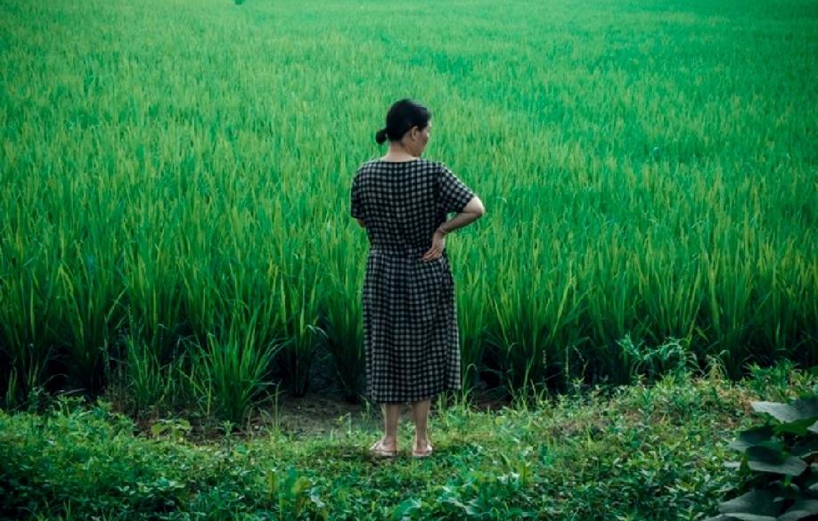 同事今天讲了一件很气人的事。她55岁的二姨发现老公家外有家，那女的才三十多岁，