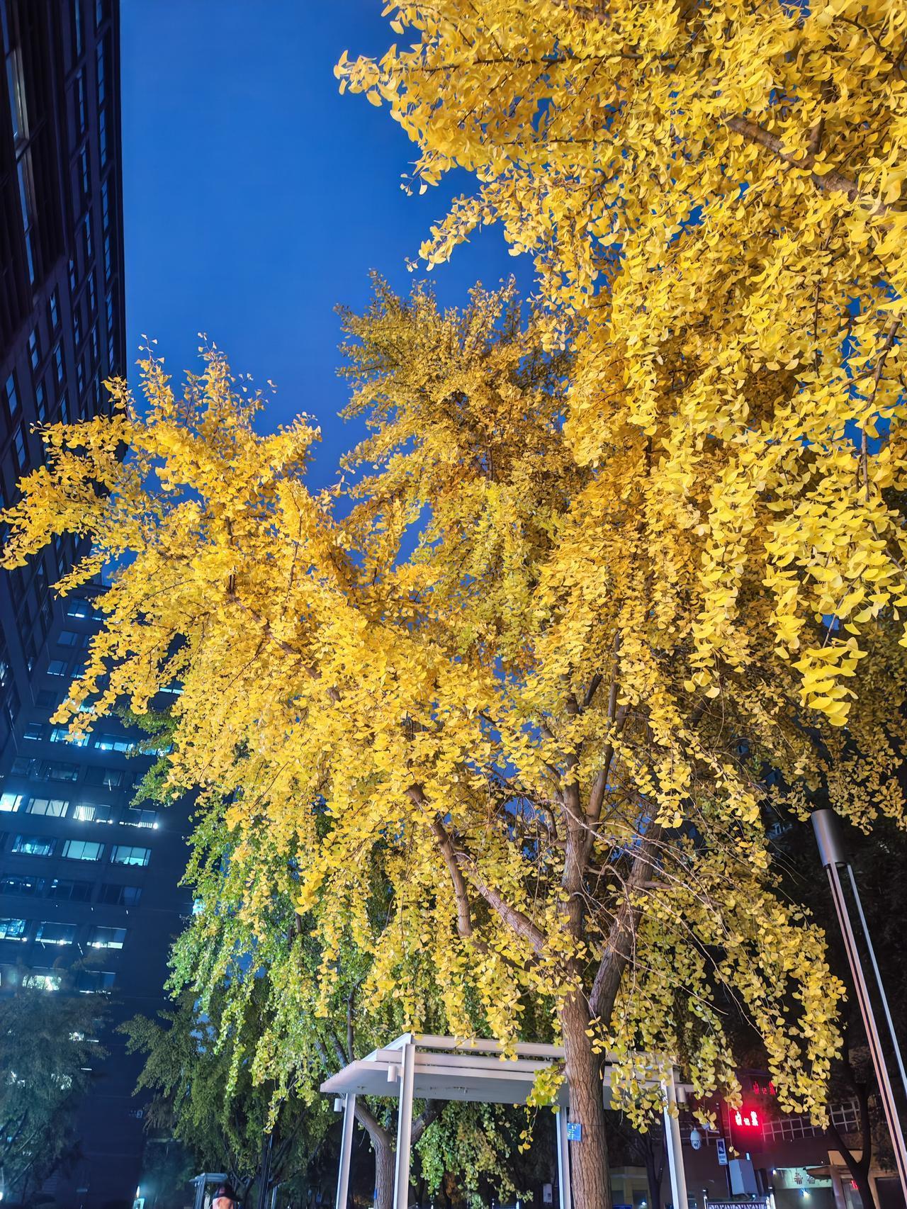 目睹一场车祸,小孩玩滑板车🛴,结果被车撞了。爷爷抱着小孩在马路中间哭,一直