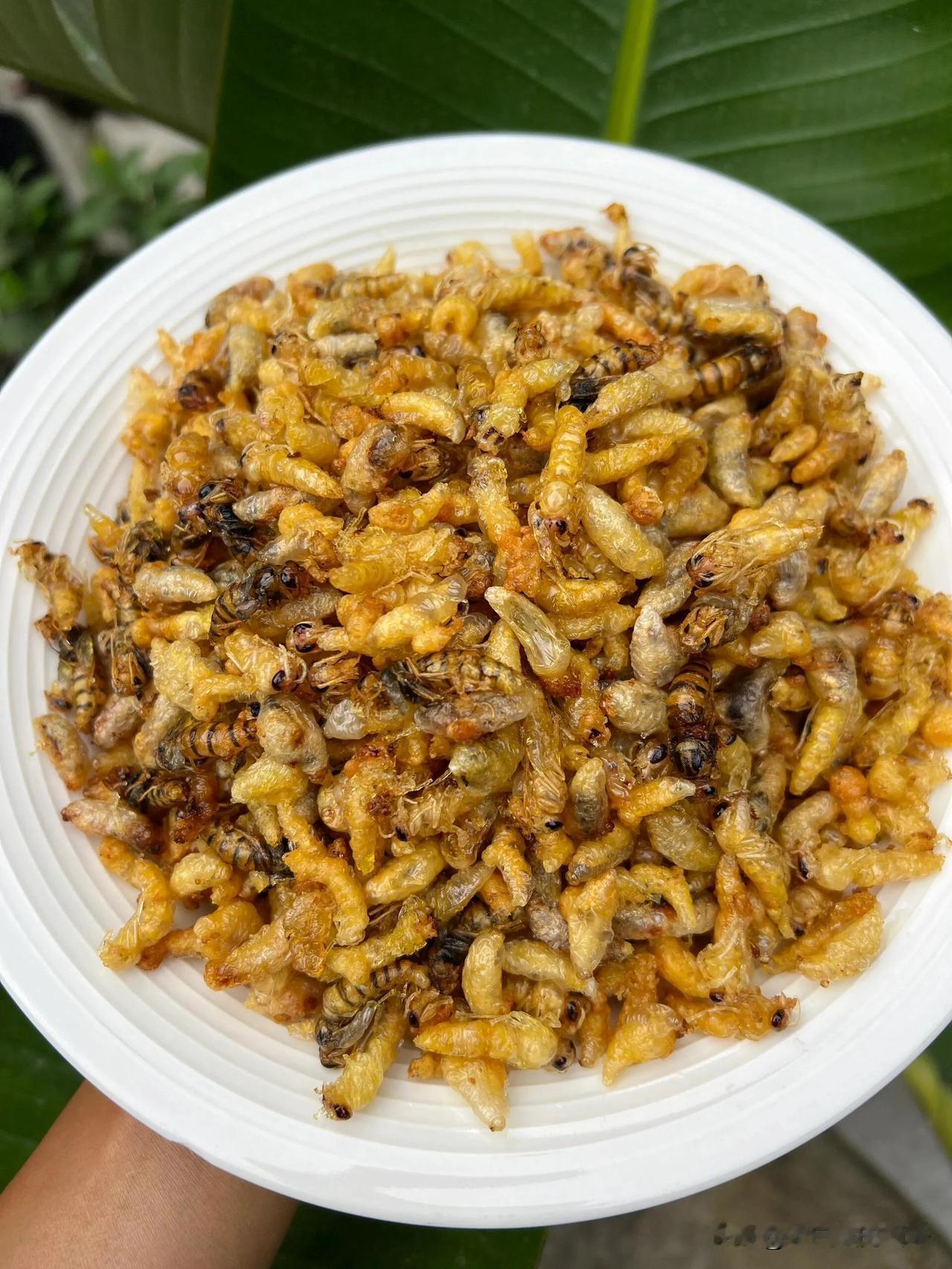 云南人的快乐是油炸蜂蛹给的！今年第一口油炸蜂蛹一下就把我香迷糊了，在云南生活的幸