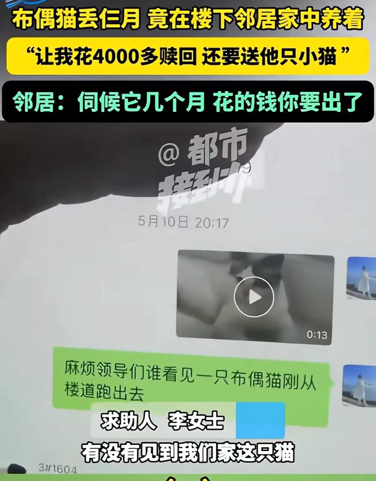 “到底怎么做到这么理直气壮的？”河南许昌，女子养的猫丢失，苦苦寻找3个月无果，后