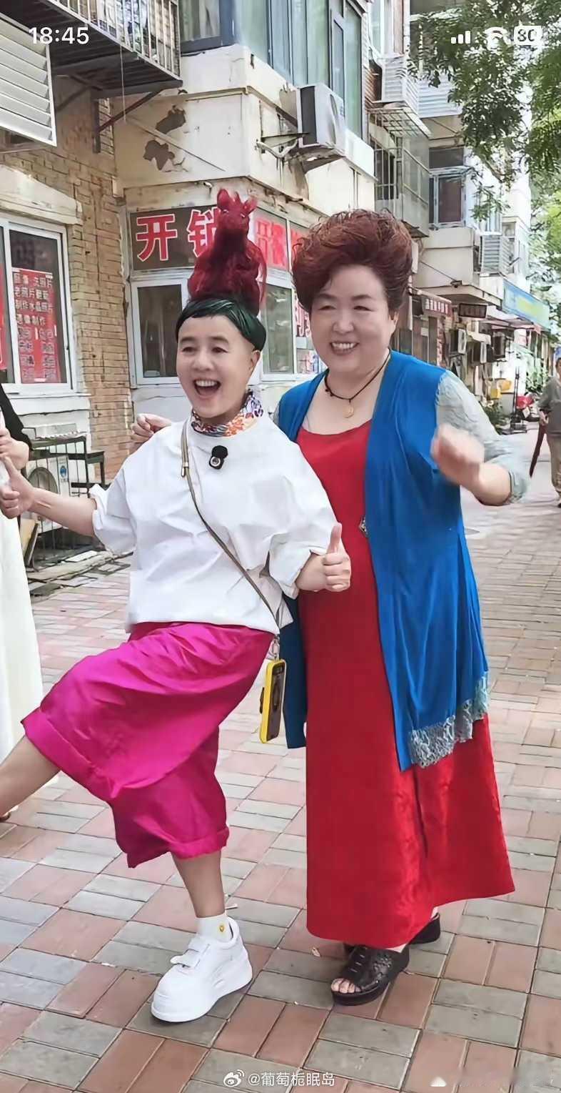 金龟子顶个“马”上天津，盘头大姨都乐了