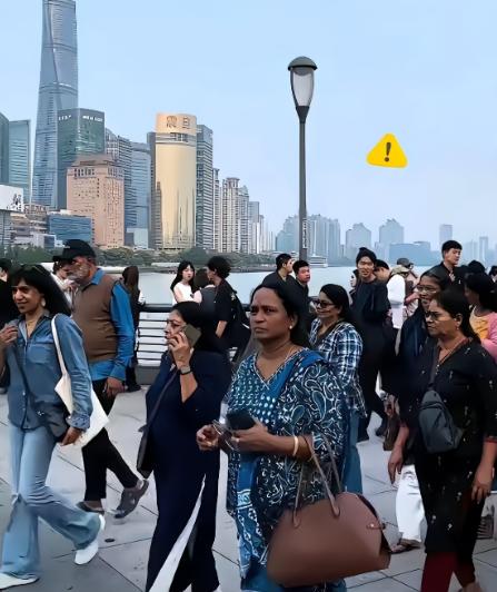 国家的百年大计，绝不能毁在一群蛀虫手里！现在只要一提"国际化"、"与国际接轨"，