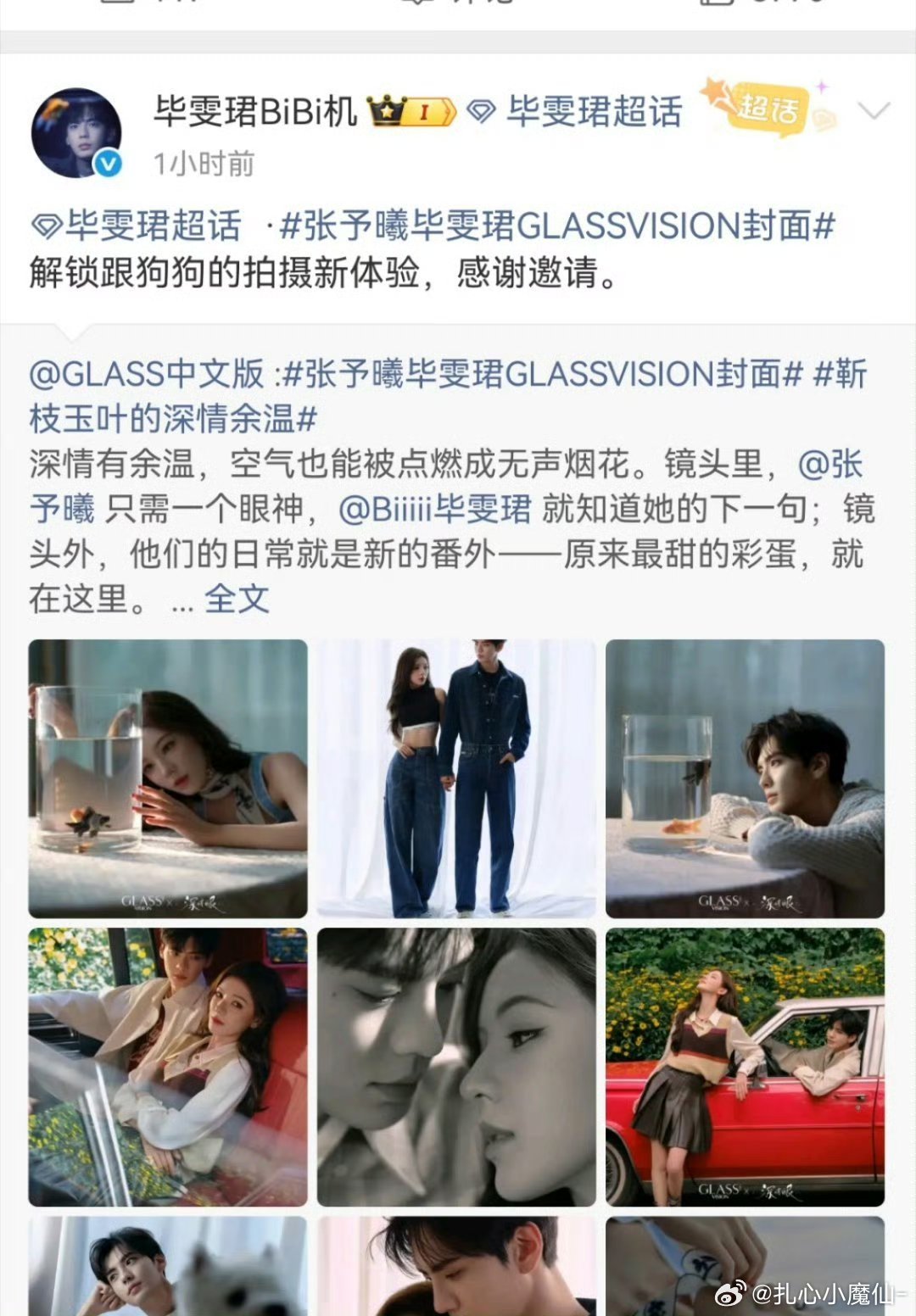 也有可能说毕雯珺是狗狗，姐狗cp，我是姐姐的狗，谁懂我…​​​