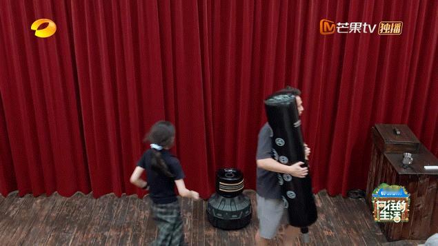 黄磊张子枫这段剧本都写不出向往的生活黄磊彭昱畅张子枫一家三口拆桩子看黄磊、彭昱畅