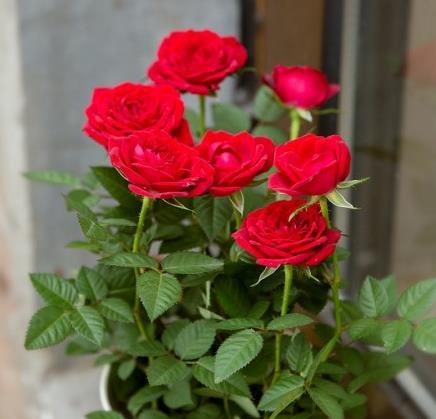 做到这一点，就能轻松拿捏亲子关系，这么多年，我总结出一套和孩子相处的门道，说