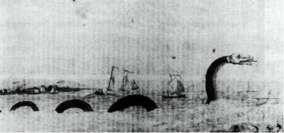 1851年，美国一艘捕鲸船在太平洋斩杀了一条巨大的蛇形巨兽，光它的头都熬了10桶