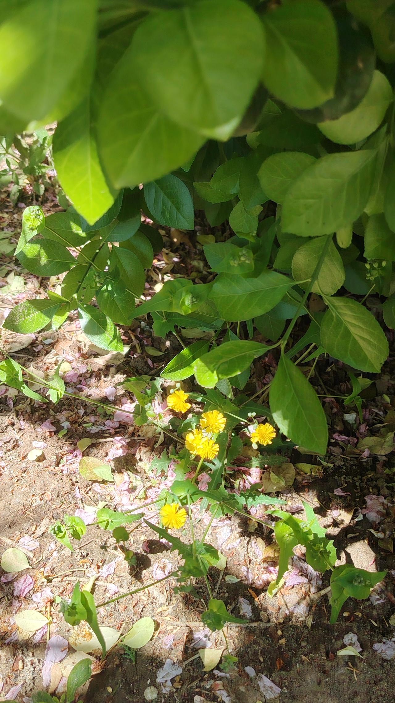 与其在别人的剧本里当配角，不如在自己的生活里做主角。小故事：一位职场女性长期