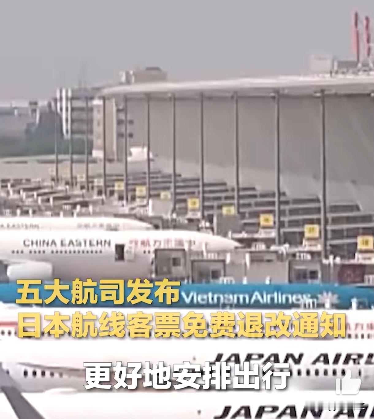 赴日机票突遭疯抢退票？三大航急开绿灯，外交部提醒藏啥门道？11月14号外交