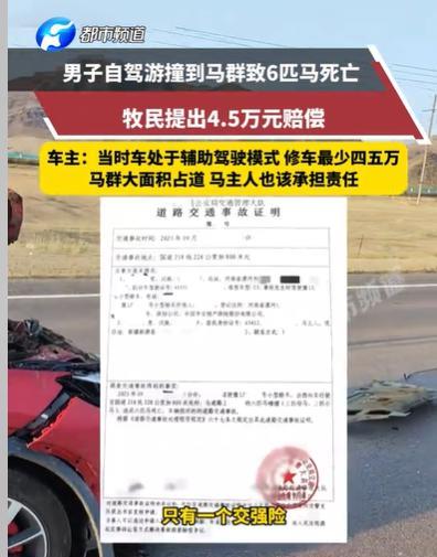 新疆伊犁，男子自驾游，路过牧区，他开了辅助驾驶模式，结果一不小心撞上了马群，死了
