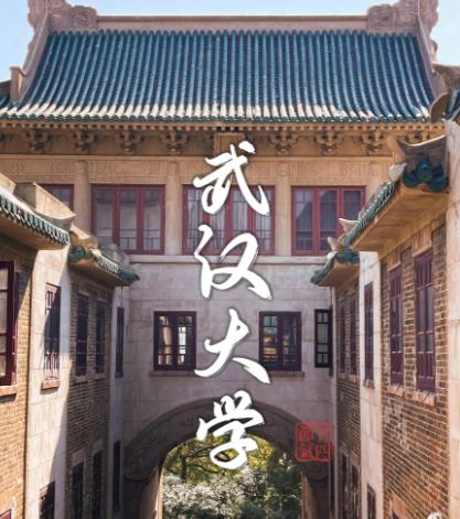 武大要丢985牌子？校友慌了校友群里讨论的那份评估结果，管理和育人