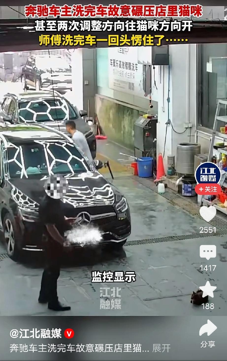 “太残忍了！”广东佛山，一名奔驰车主在洗车店洗完车之后，见到店里养的母猫，两次调