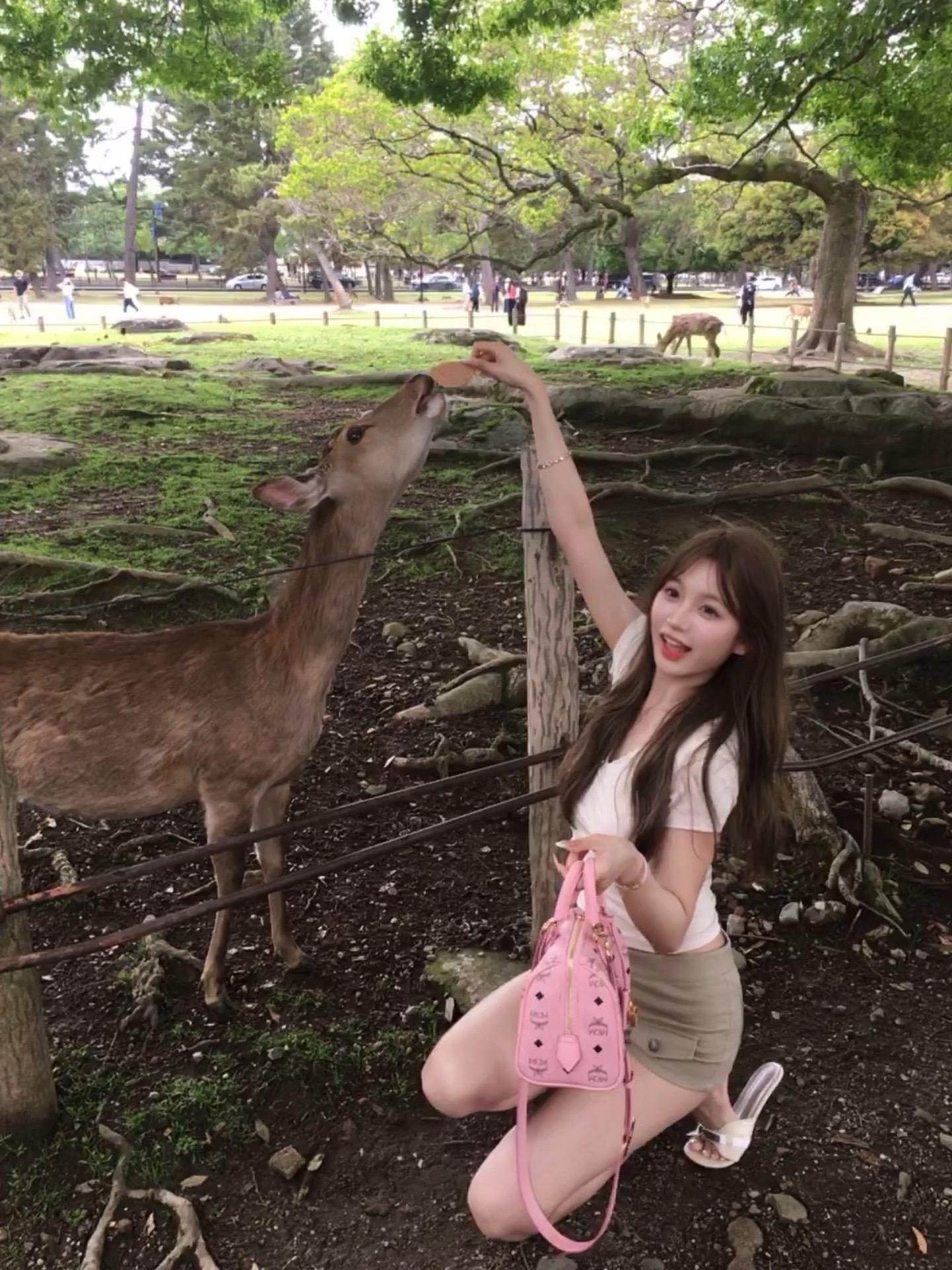 奈良日记