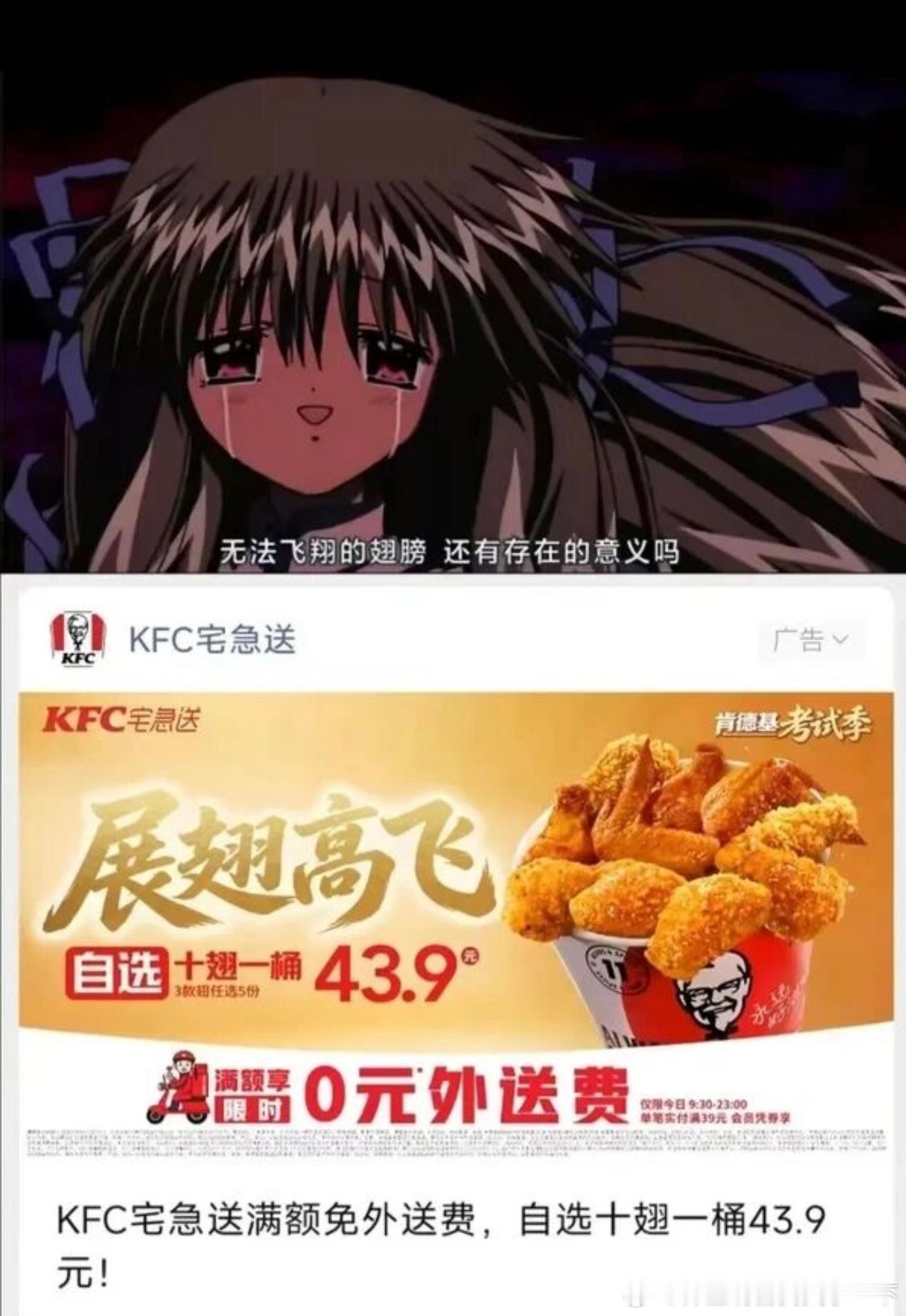 6736无法飞翔的翅膀 还有存在的意义吗​​​