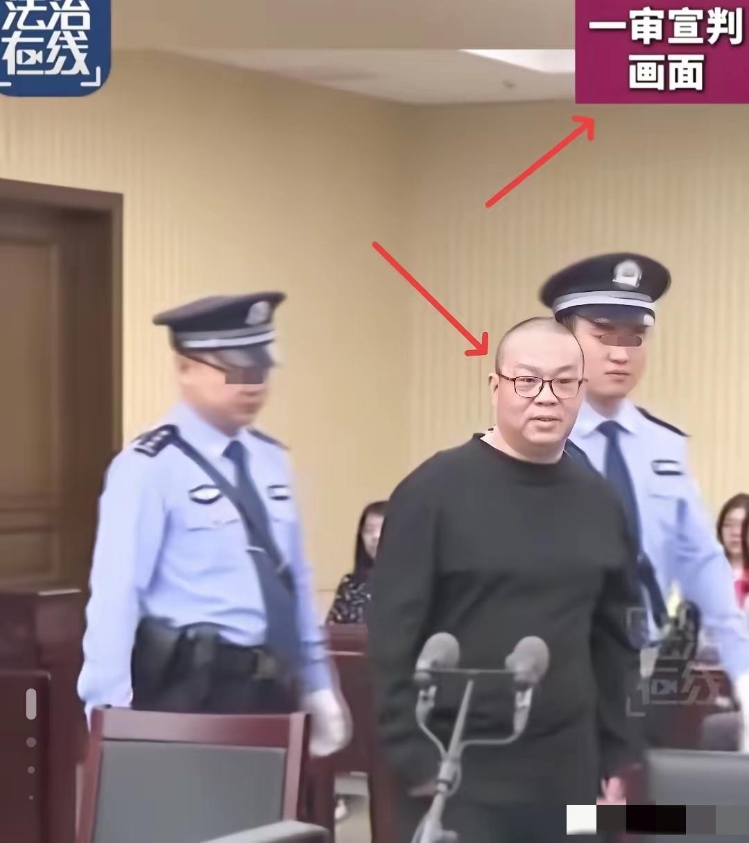 巨贪白天辉怎么也没想，自己一审和二审的表情会如此两级反转，一审的白天辉被带进
