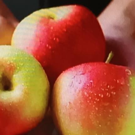 总听人说“苹果是糖尿病的缓和剂”，甚至有人觉得糖尿病人能放心吃苹果，每天一个还能