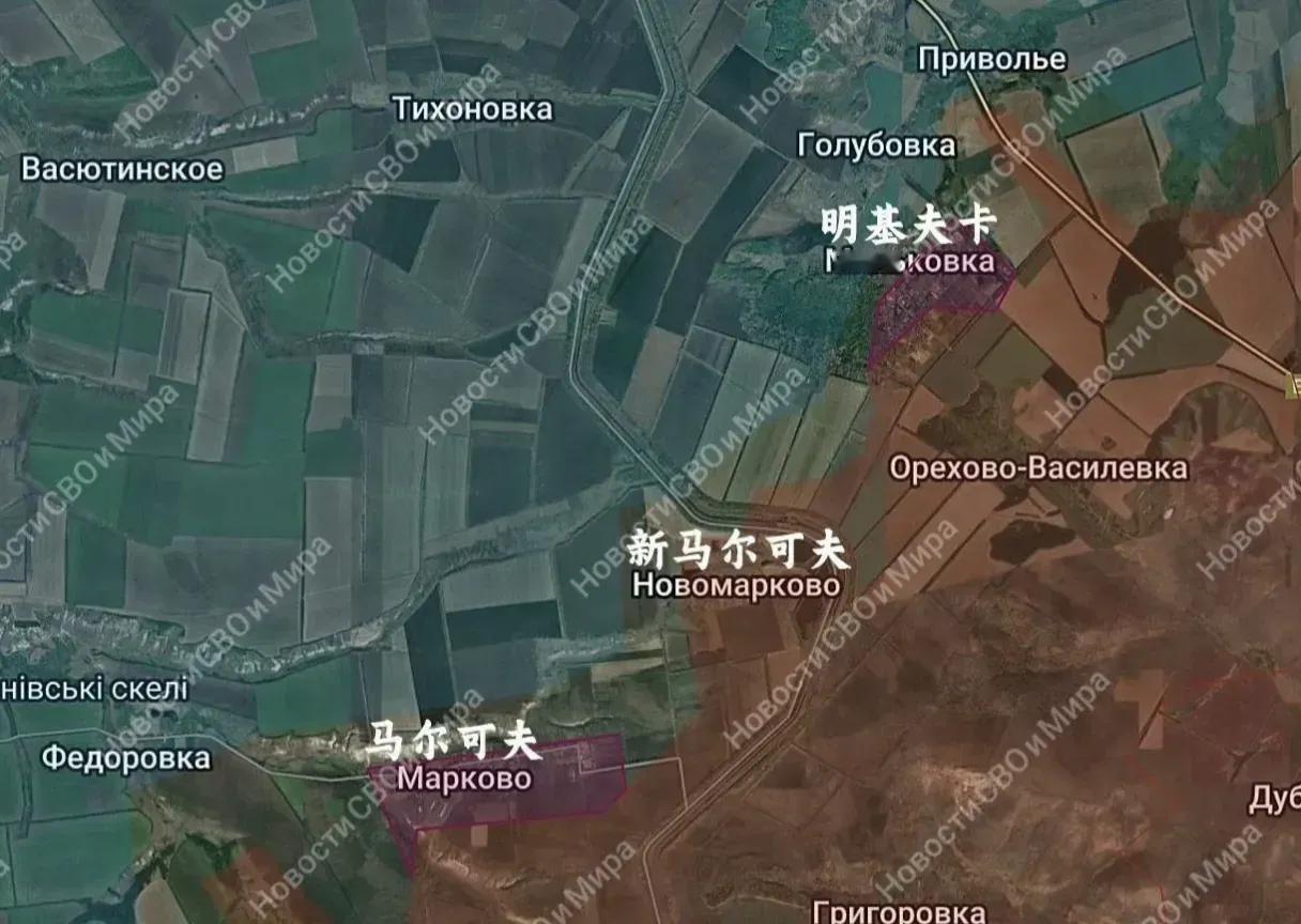 顿巴斯成为2026年关键争夺战俄军南部集群最近在顿巴斯前线动作不断，接连拿下维