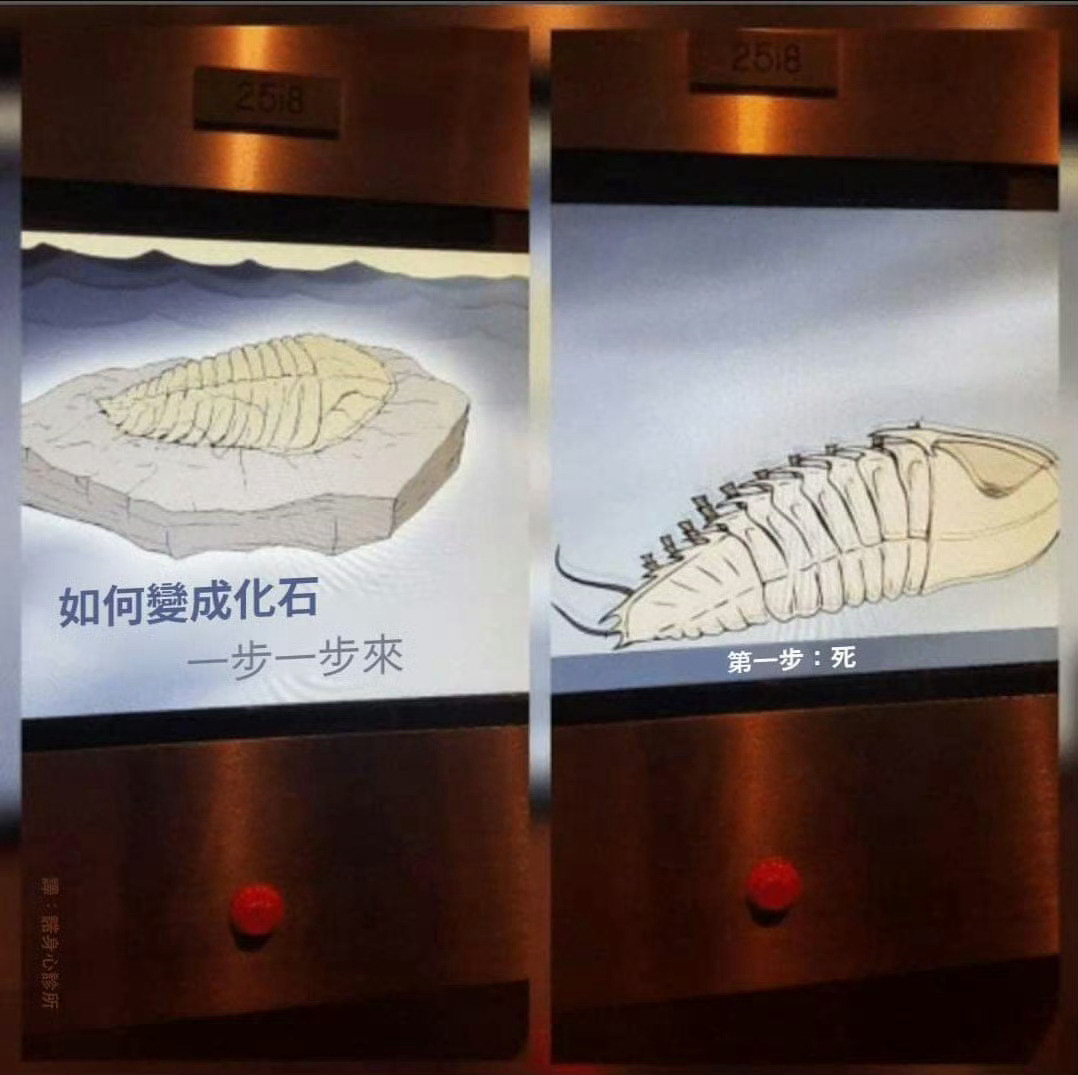 别着急一步一步来​​​