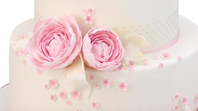 蛋糕裱花 牡丹花-生日蛋糕裱花视频教程[标清版