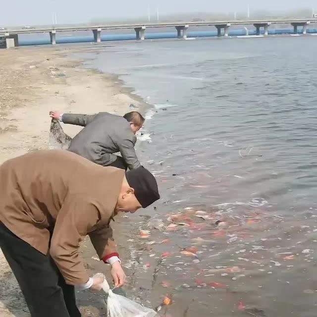 太奇怪了！有一位村民到河边钓鱼，临近中午的时候，突然来了两名男子，他们手上分别提