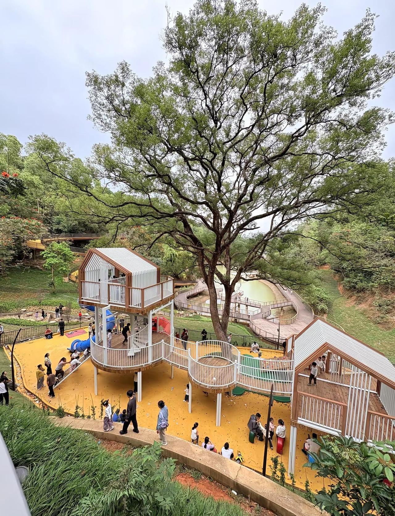 深圳将新开南湾郊野公园，山顶观景台值得去。目前公园大部分建好了，周天去是阴天，没