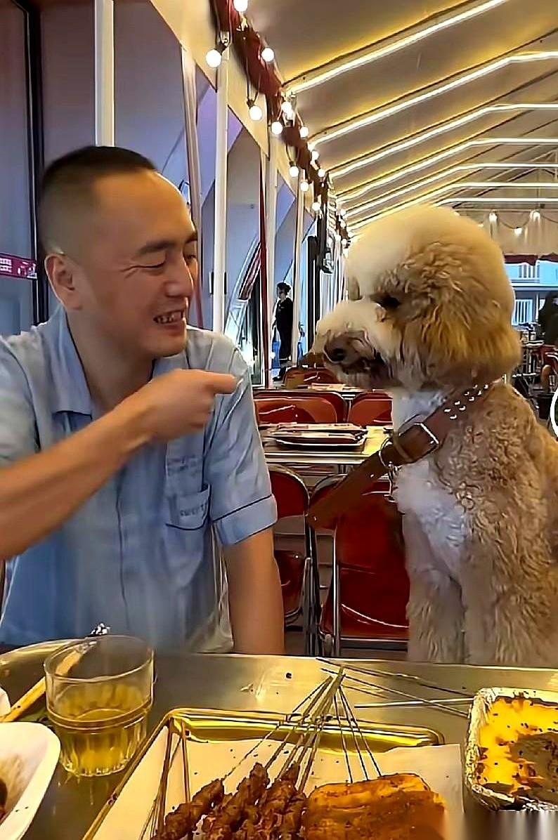 你敢信吗？你嘴里正撸得冒火星子的烧烤铁签子，前两天可能刚被一条狗吧唧着嘴舔过。
