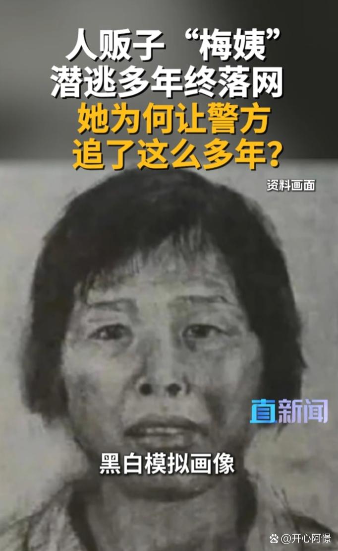 “梅姨”或不存在，警方放风有深意，这步棋很高明说实话，现在回头看，警方当